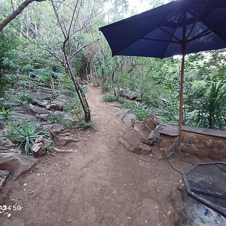 Adorable Unique Guest House - African Bush Feel Kalkheuvel Exterior photo