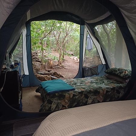 Adorable Unique Guest House - African Bush Feel Kalkheuvel Exterior photo
