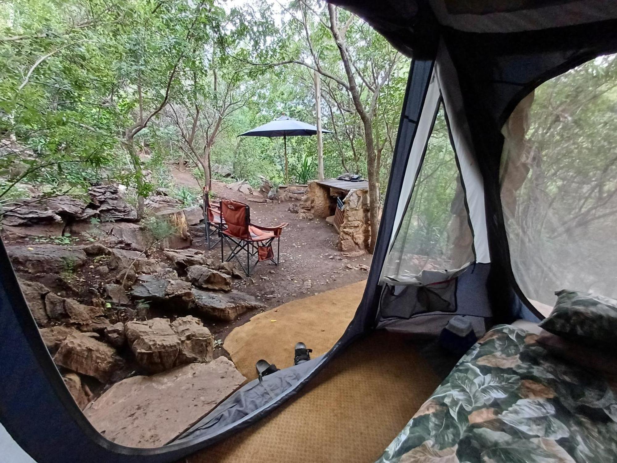 Adorable Unique Guest House - African Bush Feel Kalkheuvel Exterior photo