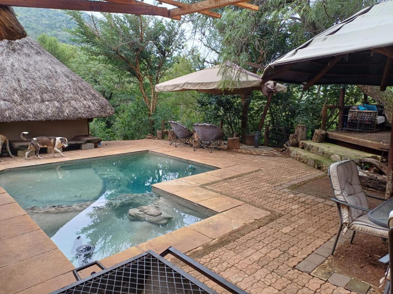 Adorable Unique Guest House - African Bush Feel Kalkheuvel Exterior photo