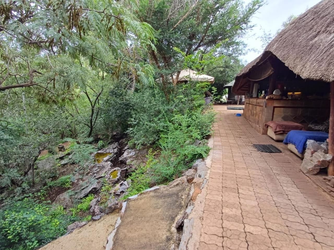 Adorable Unique Guest House - African Bush Feel Kalkheuvel Exterior photo